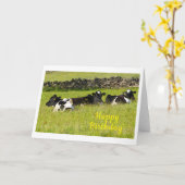 Carte Vaches d'été Anniversaire (Fleur jaune)