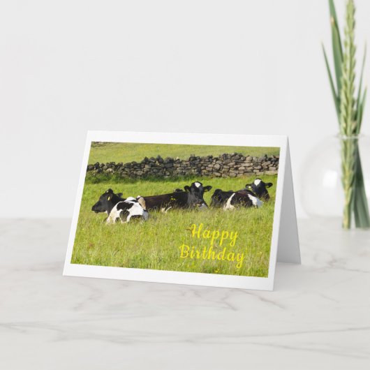 Carte Vaches d'été Anniversaire (Devant)