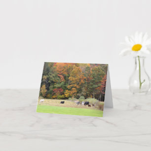 Carte Vaches En Champ Autumn Foliage Photographie Note