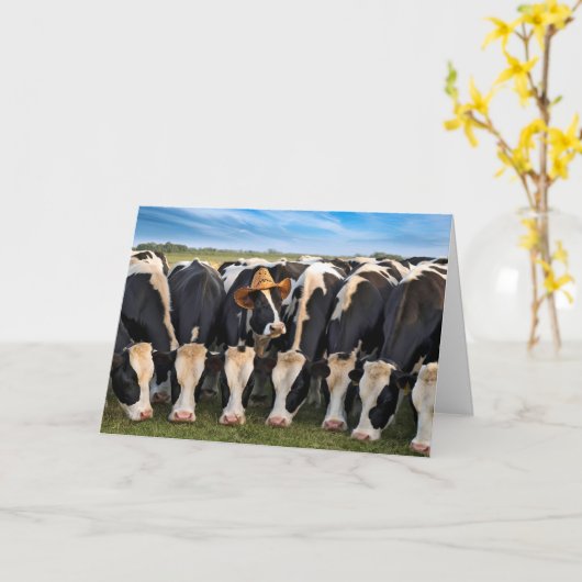 Carte Vaches Holstein nées le jour de leur anniversaire (Fleur jaune)