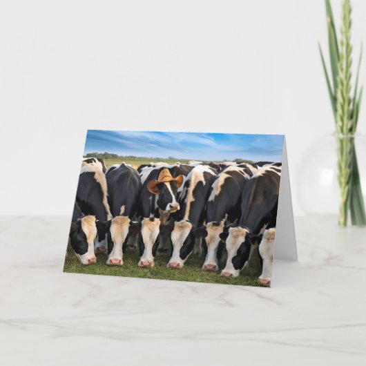 Carte Vaches Holstein nées le jour de leur anniversaire (Devant)