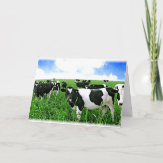 Carte Vaches laitières dans un champ vert