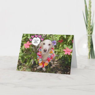 Carte Valentine