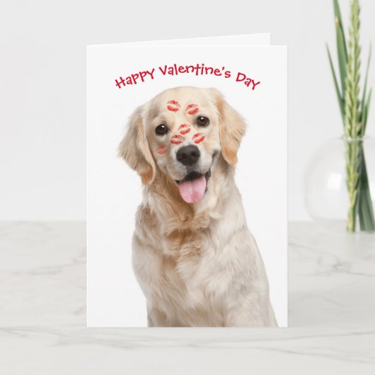 Carte Valentine Golden Retriever (Devant)