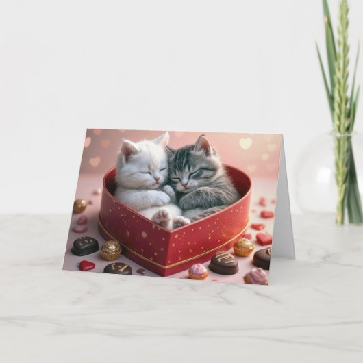 Carte Valentine Kittens dans une boîte à bonbons de coeu (Devant)