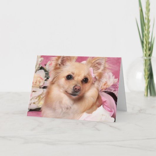 Carte Valentine Pomérienne (Devant)