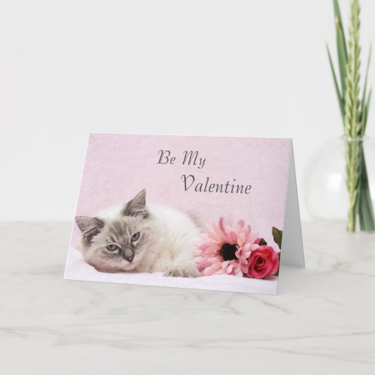 Carte Valentine Ragdoll (Devant)