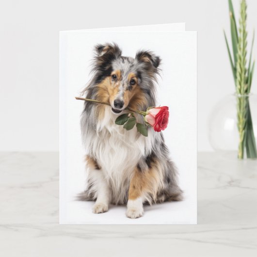 Carte Valentine Sheltie (Devant)