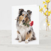 Carte Valentine Sheltie (Fleur jaune)