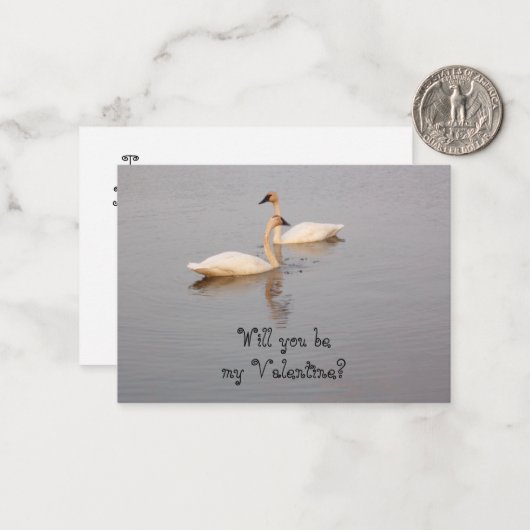 Carte Valentine Swans (Devant/Arrière en situation)