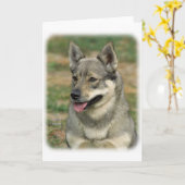 Carte Vallhund suédois (Fleur jaune)