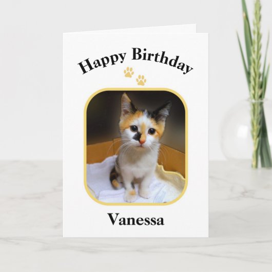 Carte Vanessa Calico Kitten Joyeux anniversaire (Devant)