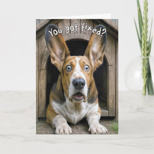 Carte Vasectomy Basset Hound Dog Surprise (Devant)