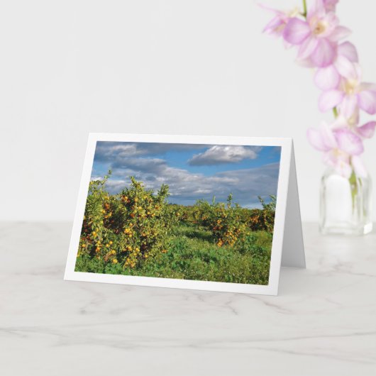 Carte Verger d'orangers, Valence, Espagne (Orchidée)