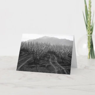 Carte Vergers à interdire les tailles, Mt. San Jacinto,