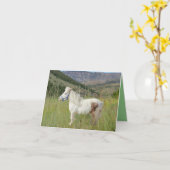 Carte Véritable cheval miniature dans les montagnes d'an (Fleur jaune)