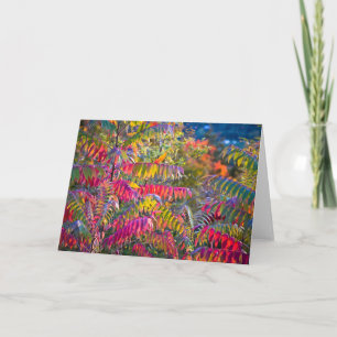 Carte Vermont Foliage
