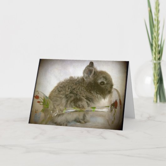 Carte Verre de lapin et de vin (Devant)