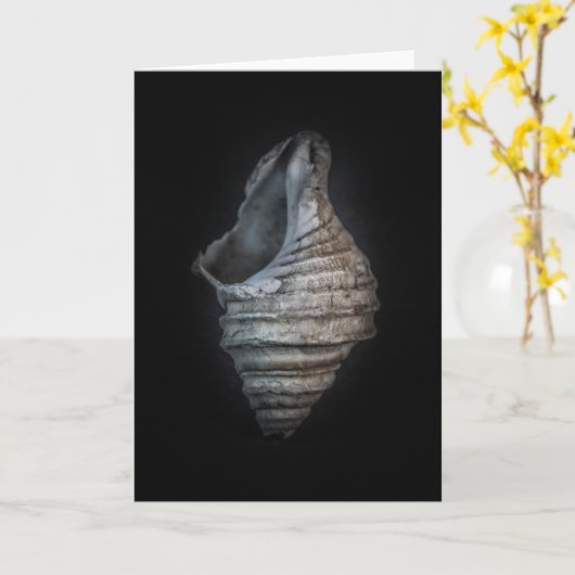 Carte Version couleur Shells No 6 (Fleur jaune)