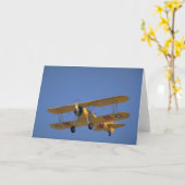 Carte Version US Navy, Stearman N3N3 (Fleur jaune)