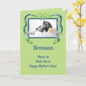 Carte Vert de la fête des mères de chien (Fleur jaune)