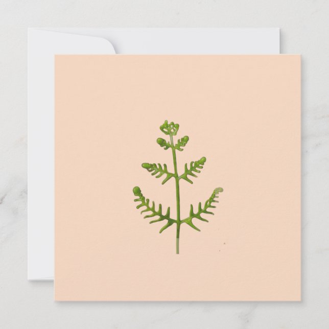 Carte vert de printemps  (Devant)