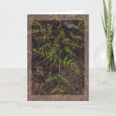 Carte vert de printemps (Devant)
