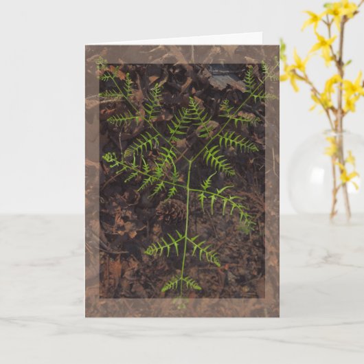 Carte vert de printemps (Fleur jaune)