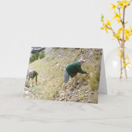 Carte verte (Fleur jaune)