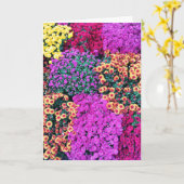 Carte verte (Fleur jaune)