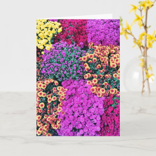 Carte verte (Fleur jaune)