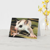 Carte verte (Fleur jaune)