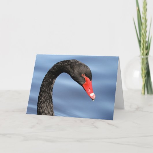 Carte verte (Devant)