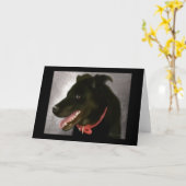 Carte verte (Fleur jaune)