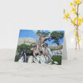 Carte verte d'arbre de crique (Fleur jaune)