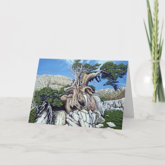Carte verte d'arbre de crique (Devant)