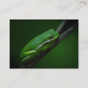 Carte verte d'ATC de grenouille d'arbre