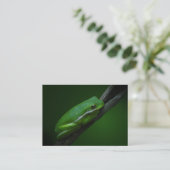Carte verte d'ATC de grenouille d'arbre (Debout devant)
