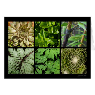 Carte verte de feuillage