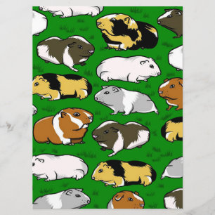 Carte verte de Guinée Pig