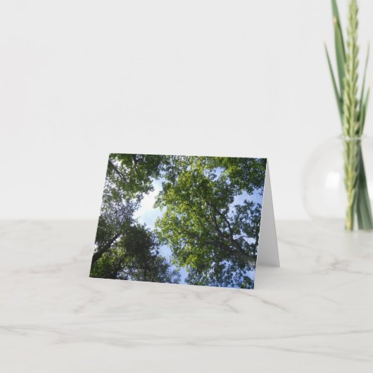 Carte Verte Naturelle (Devant)