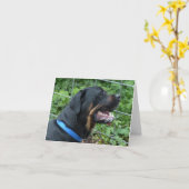 Carte verte rouge (Fleur jaune)