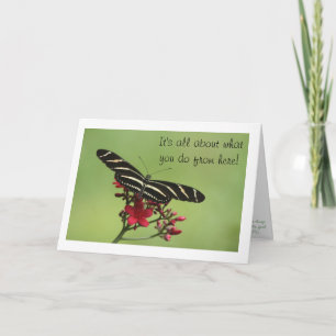 Carte verte/scripture