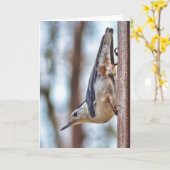 Carte Verticale Blanche-breasted colorée de sittelle (Fleur jaune)