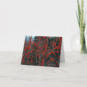 Carte Verticillata d'Ilex, winterberry