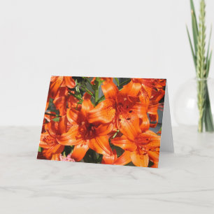 Carte Vibrant Orange Tiger Lilies