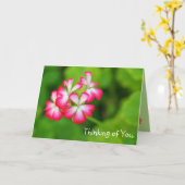 Carte Vibrant Pink Geraniums | Greeting Card (Fleur jaune)