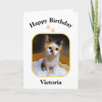 Victoria Calico Kitten Joyeux anniversaire