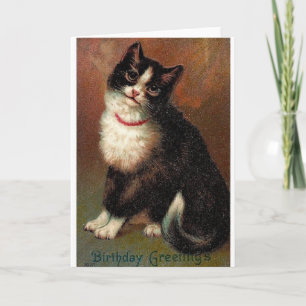 Carte Victorian Black And White Cat Birthday Card
