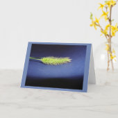 Carte Vide (Fleur jaune)